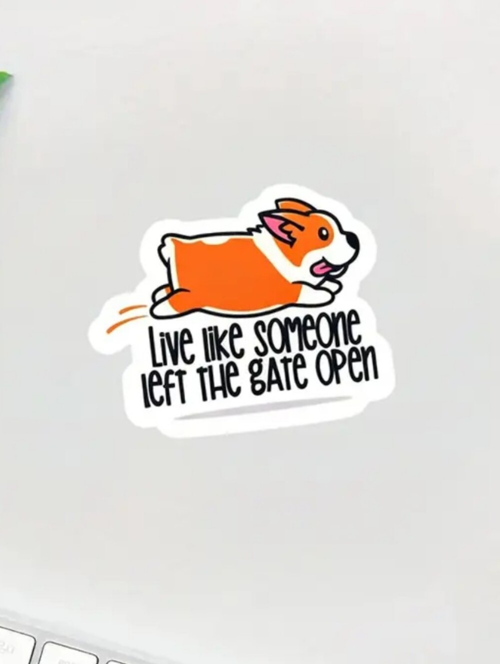 1$ Add On⭐ Live Like Someone Left The Gate Open Corgi Sticker